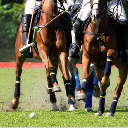 Heroes and Horses Polo Event - logo